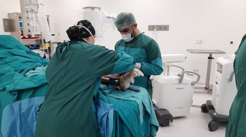 Gliedmaßenverlängerung Methoden Gliedmaßenverlängerung Methoden